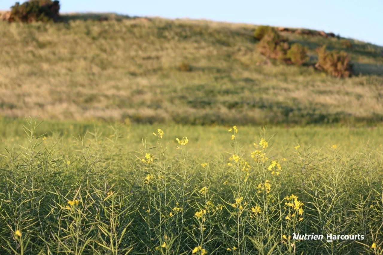 Additional image 3 of Lot 4 Larard Road, Sandy Gully WA 6535