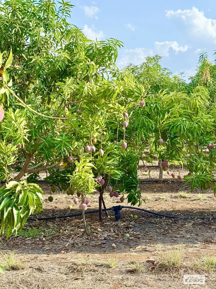 Additional image 23 of 80 & 100 Russ Road, Tumbling Waters NT 0822