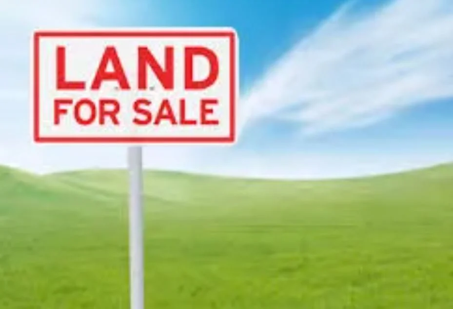 Additional image 5 of 503 Heath Road, Leppington NSW 2179