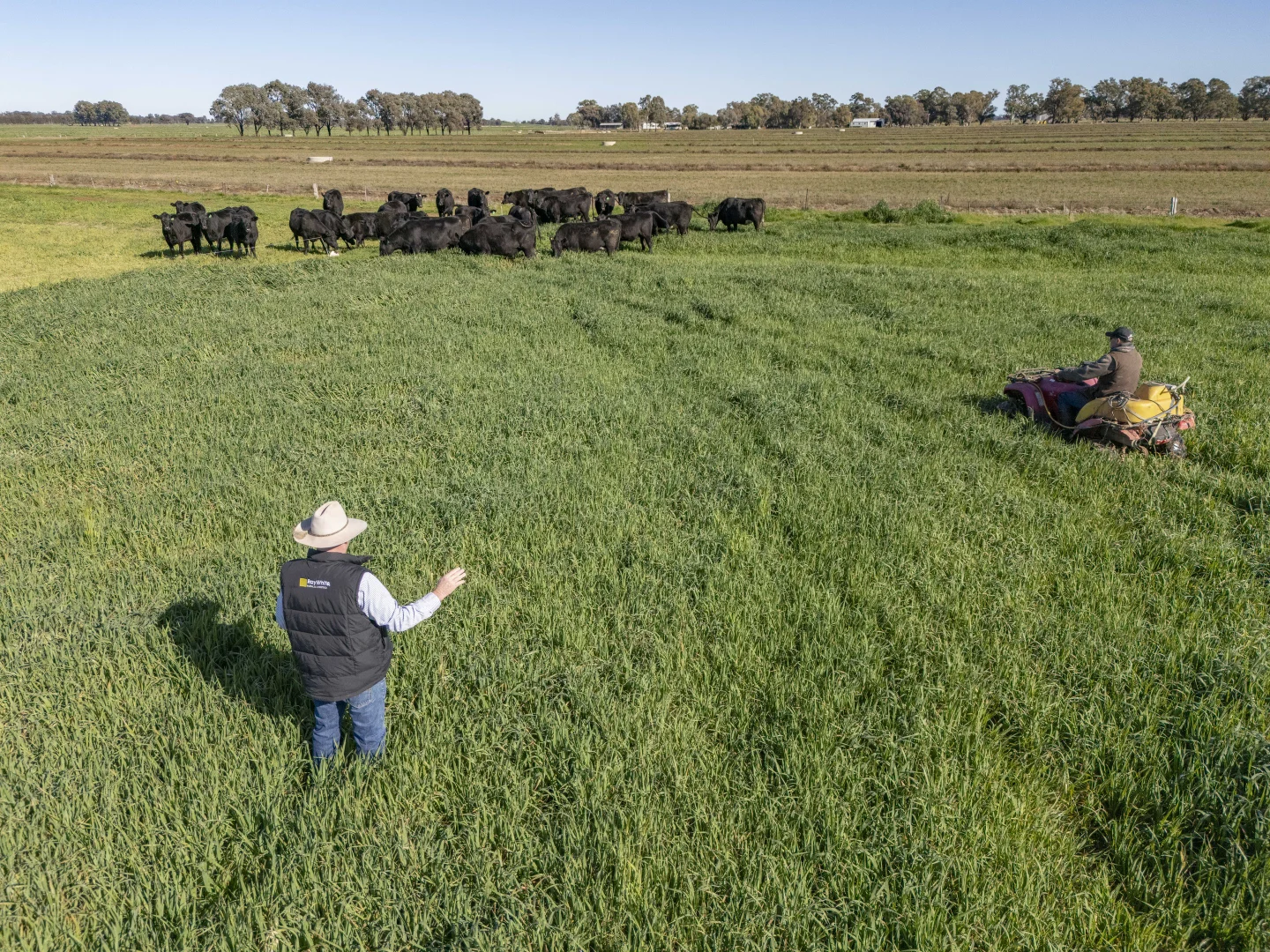 Additional image 3 of 2244 Berrigan Road, Berrigan NSW 2712