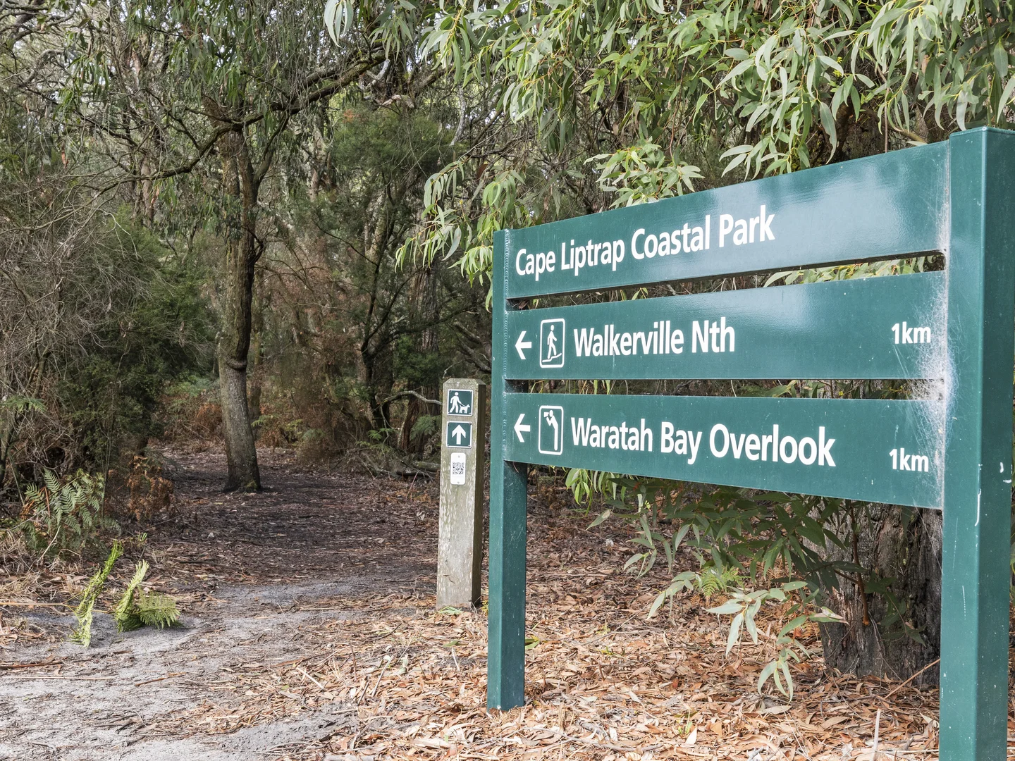 Additional image 23 of 9 Macneil Crt, Walkerville VIC 3956