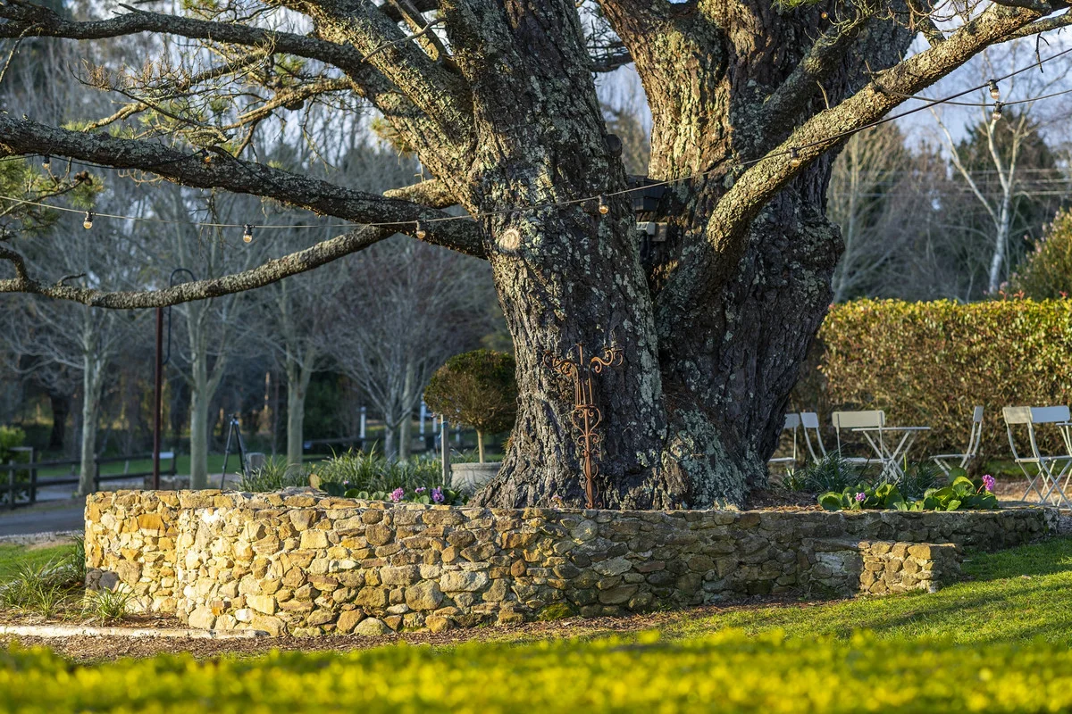 Additional image 5 of 562 Nowra Road, Moss Vale NSW 2577