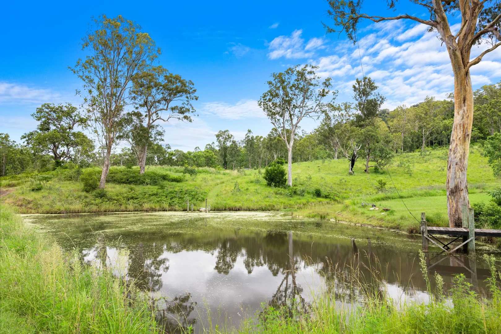 Additional image 19 of 154 Sawpit Creek Road, Findon Creek NSW 2474