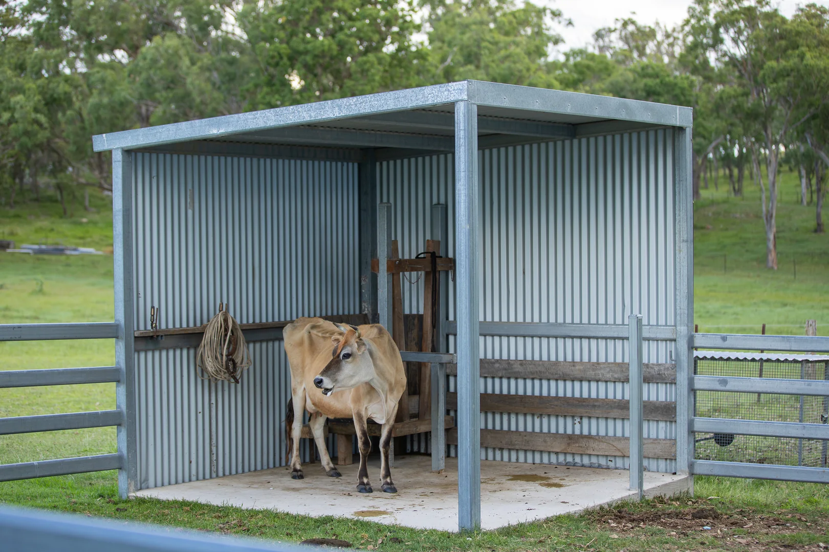 Additional image 22 of 652 Mount Lindesay Road, Tenterfield NSW 2372