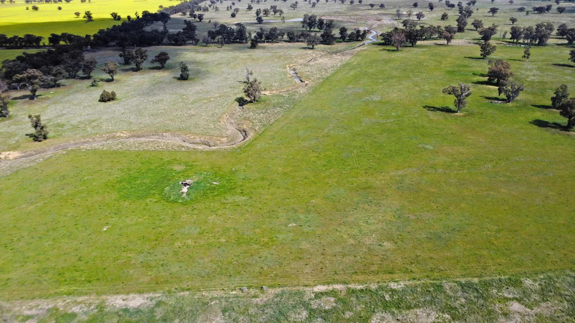 Additional image 29 of 1843 Yeo Yeo Hampstead Road, Young NSW 2594