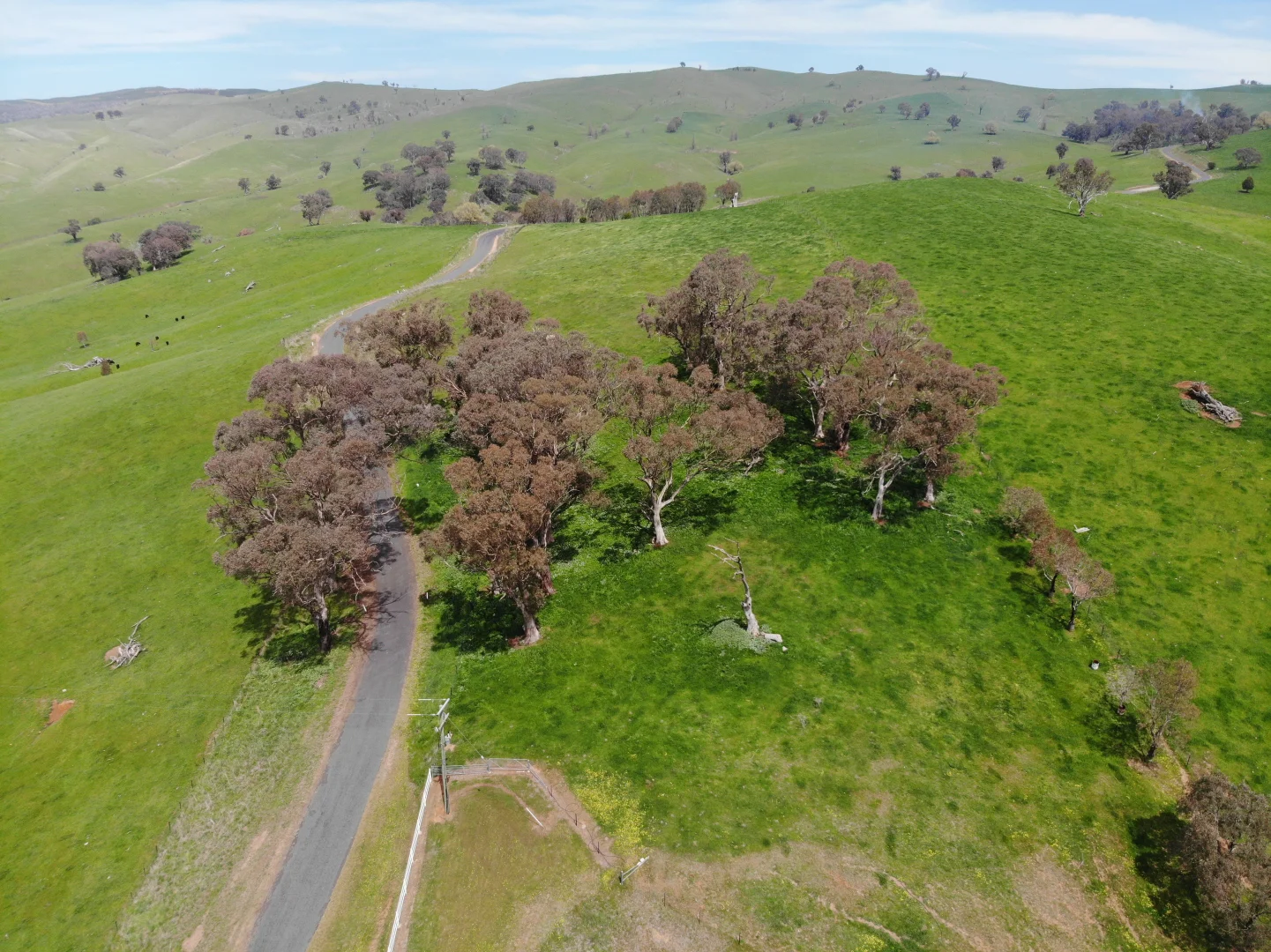 Additional image 29 of 210 Sharps Creek Road, Adelong NSW 2729