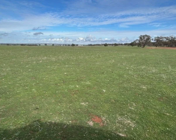 Additional image 2 of 418 Donaldsons Road, Corbie Hill NSW 2705