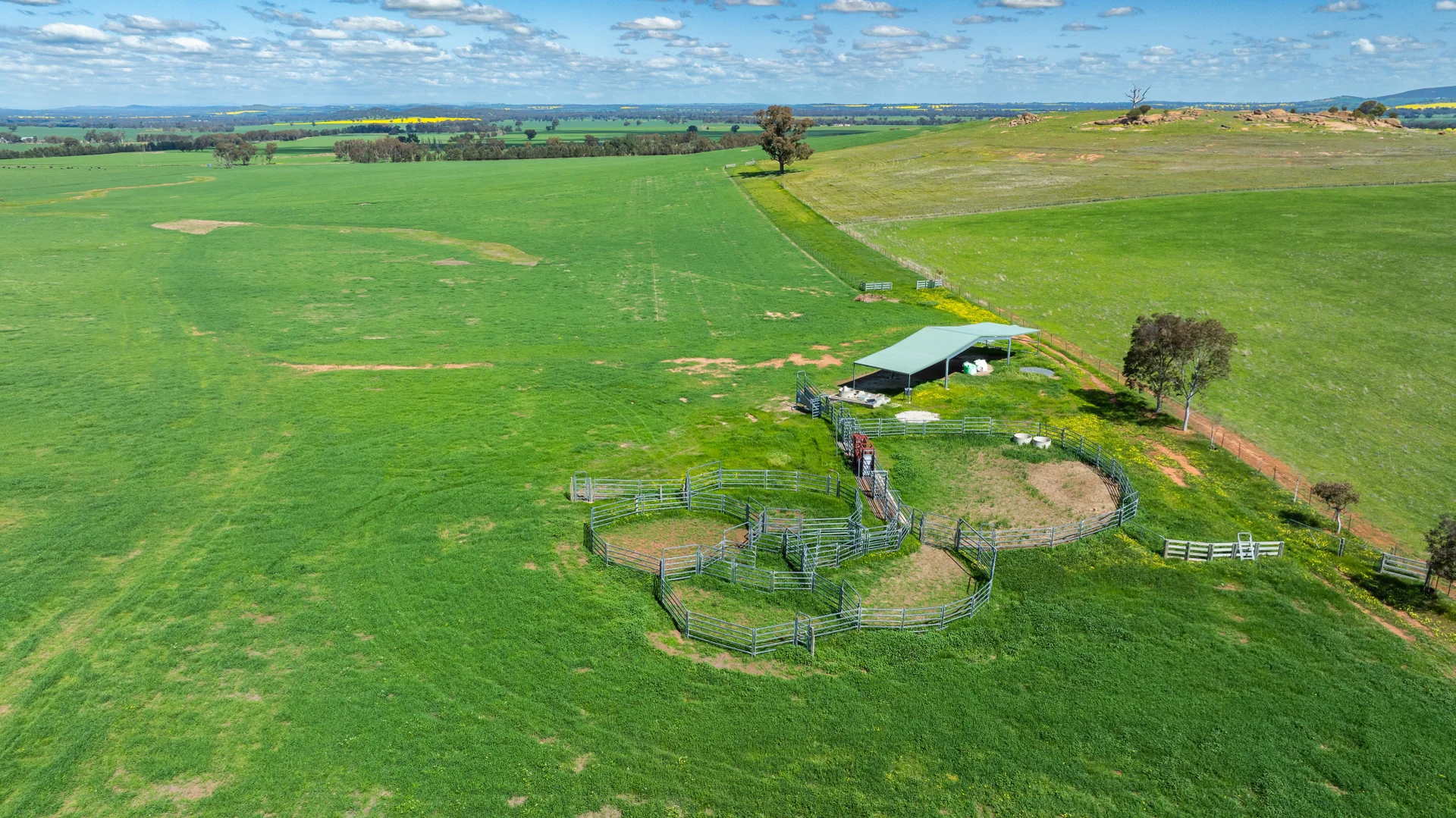 Additional image 9 of 413 Reynella Road, Walbundrie NSW 2642