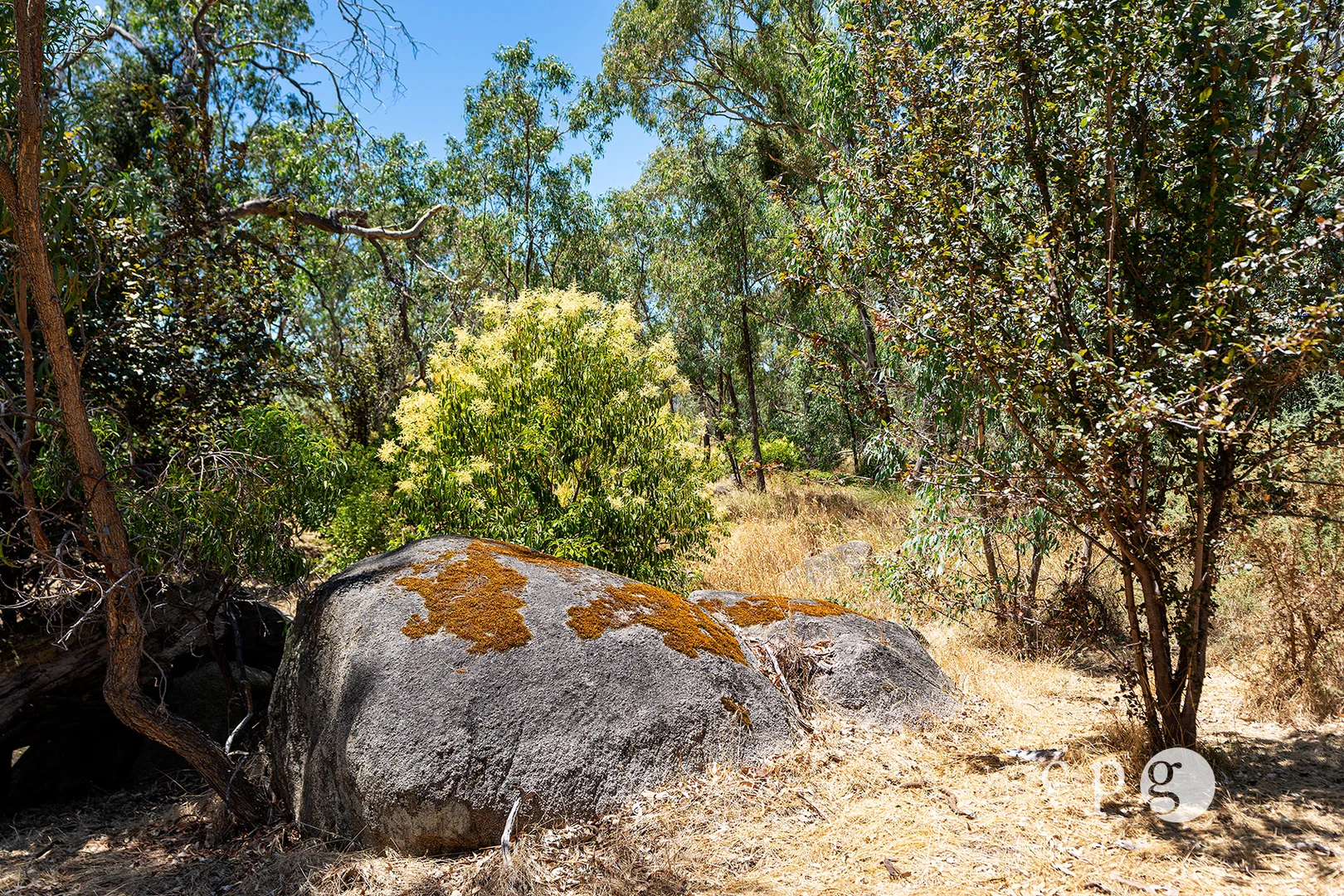 Additional image 2 of 256 Blackjack Road, Harcourt VIC 3453