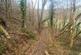 Additional image 6 of Drefelin, Drefach Felindre SA44