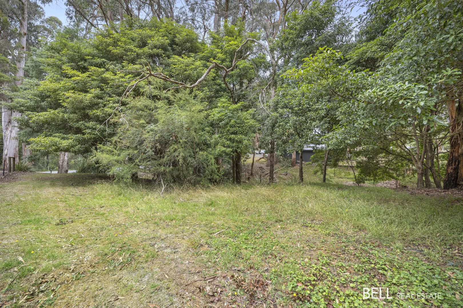 Additional image 8 of 3 River Road, Millgrove VIC 3799