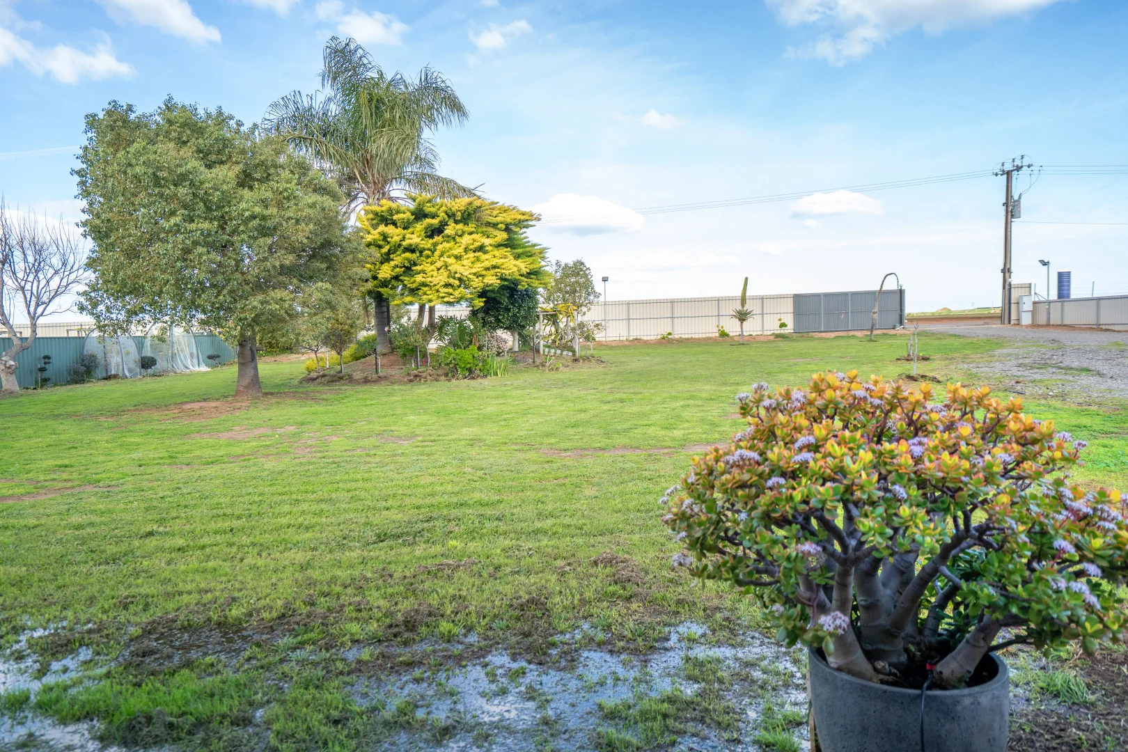 Additional image 10 of 200 Thompson Road, Buckland Park SA 5120