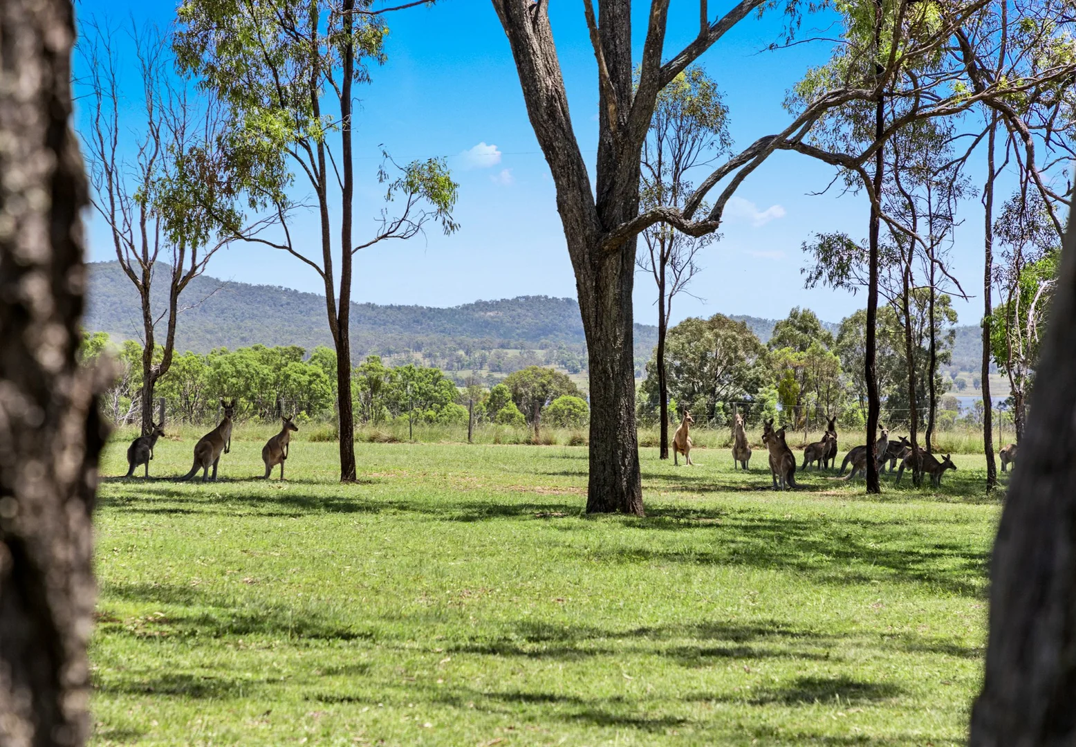 Additional image 9 of 212 Woodhill Road, Leslie Dam QLD 4370