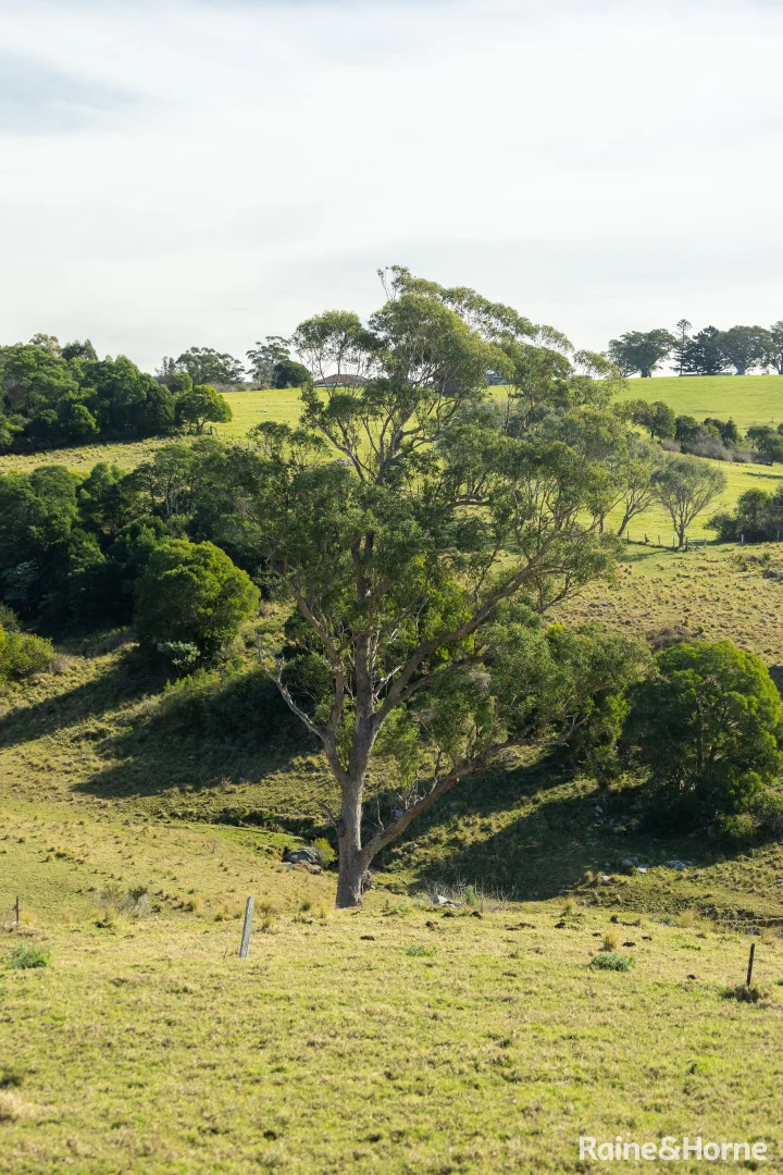 Additional image 18 of Lot 31, 7 Gordon Street, Milton NSW 2538