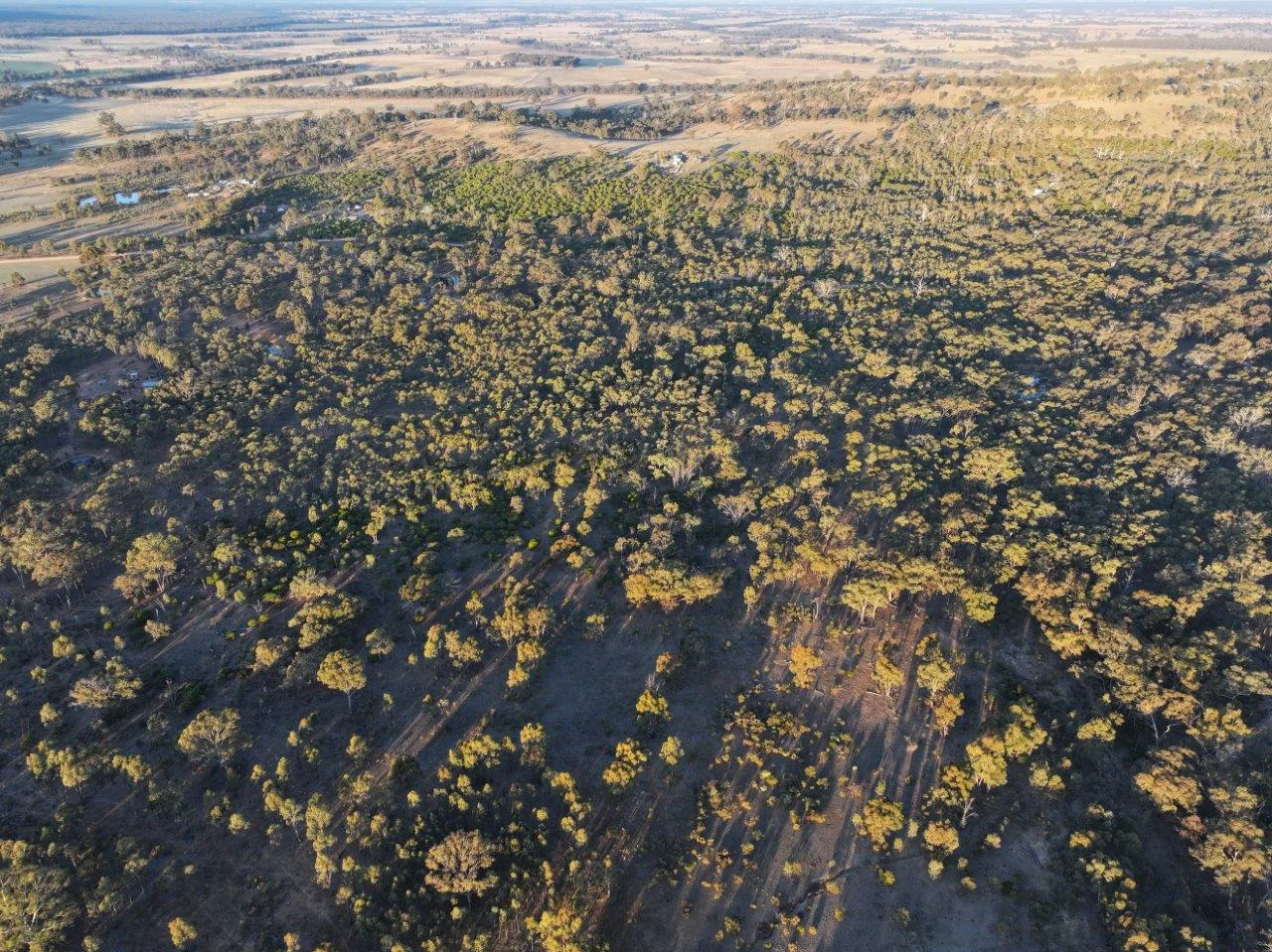 Additional image 3 of 299 Obriens Drive, McIntyre VIC 3472