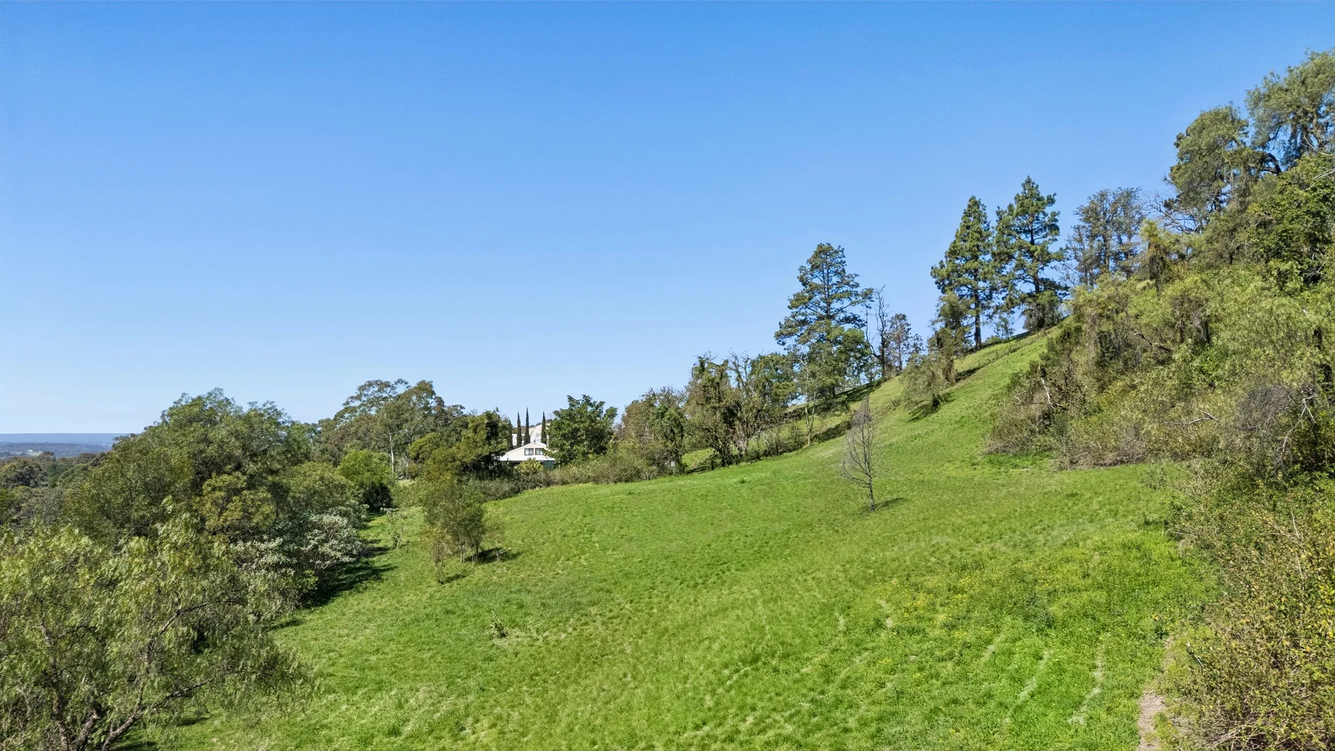 Additional image 26 of 816 Grose Vale Road, Grose Vale NSW 2753