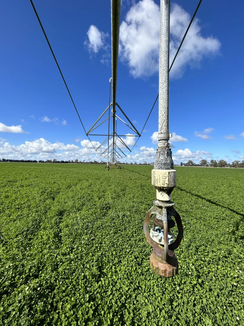 Additional image 10 of 71 Joys Road, Binnum SA 5262