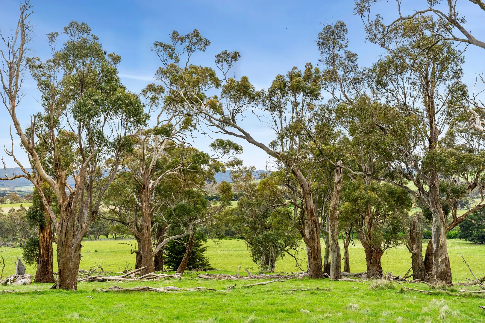 Additional image 6 of 1067 Rochford Road, Newham VIC 3442