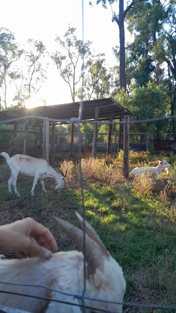 Additional image 6 of Tara QLD 4421