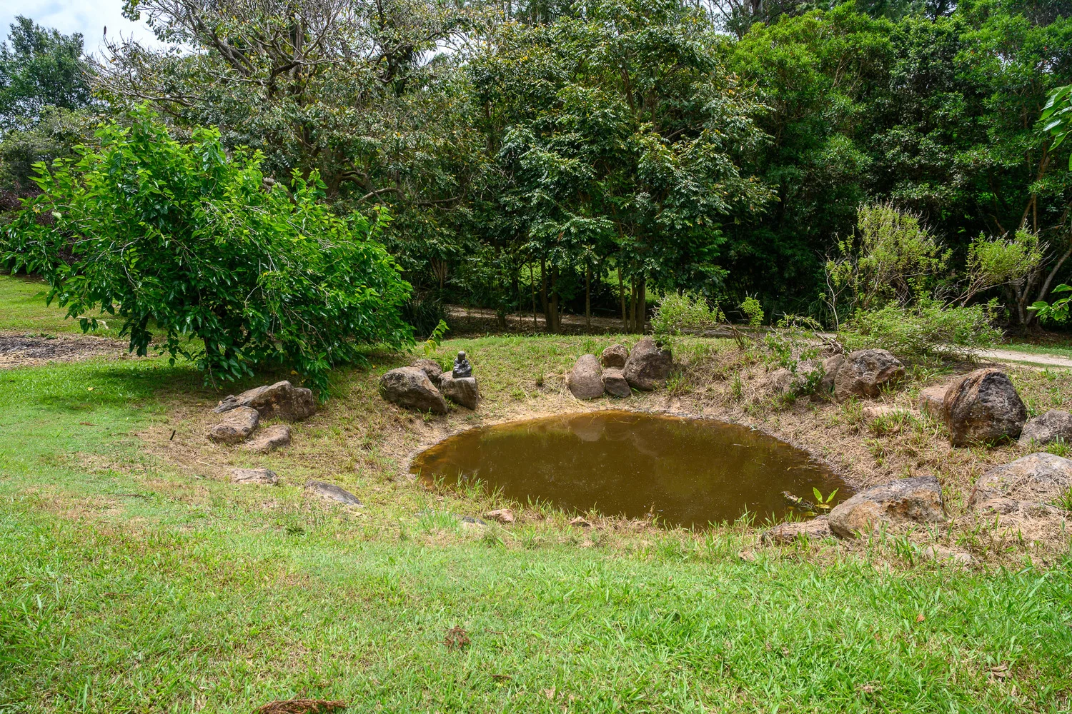 Additional image 41 of 86 Parmenters Road, Wilsons Creek NSW 2482