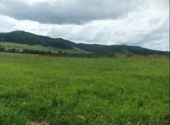 Additional image 18 of 1050 Afterlee Rd, Eden Creek NSW 2474