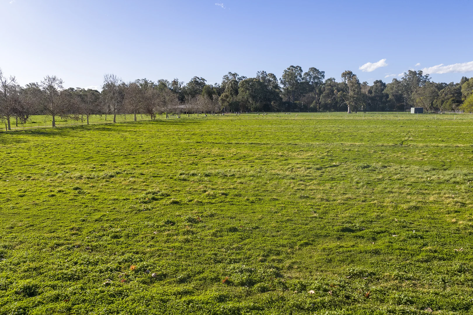 Additional image 6 of Lot 1 120 Laws Drive, Kialla VIC 3631