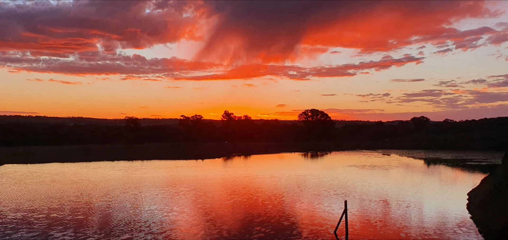 Additional image 20 of Young NSW 2594