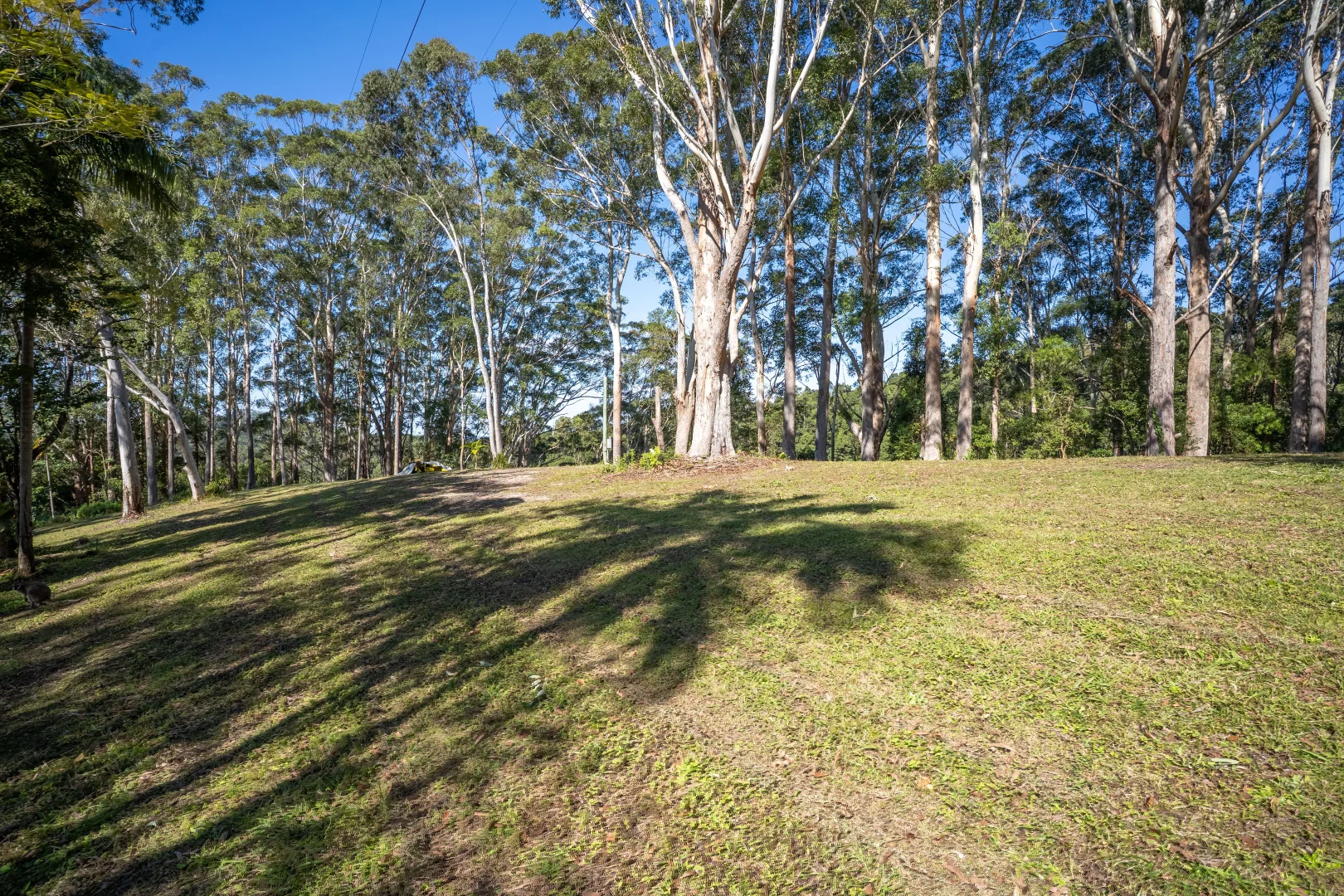 Additional image 5 of 76 Maso Road, Repentance Creek NSW 2480