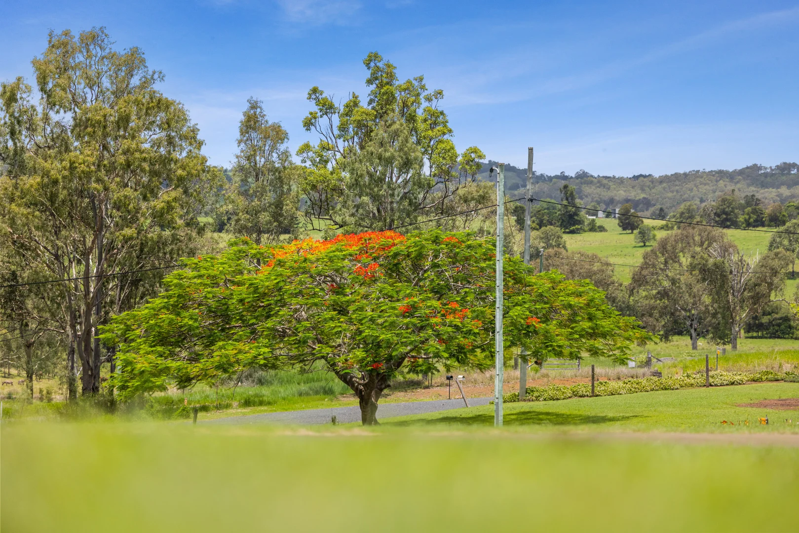 Additional image 26 of 3 Blanckensee Road, Langshaw QLD 4570