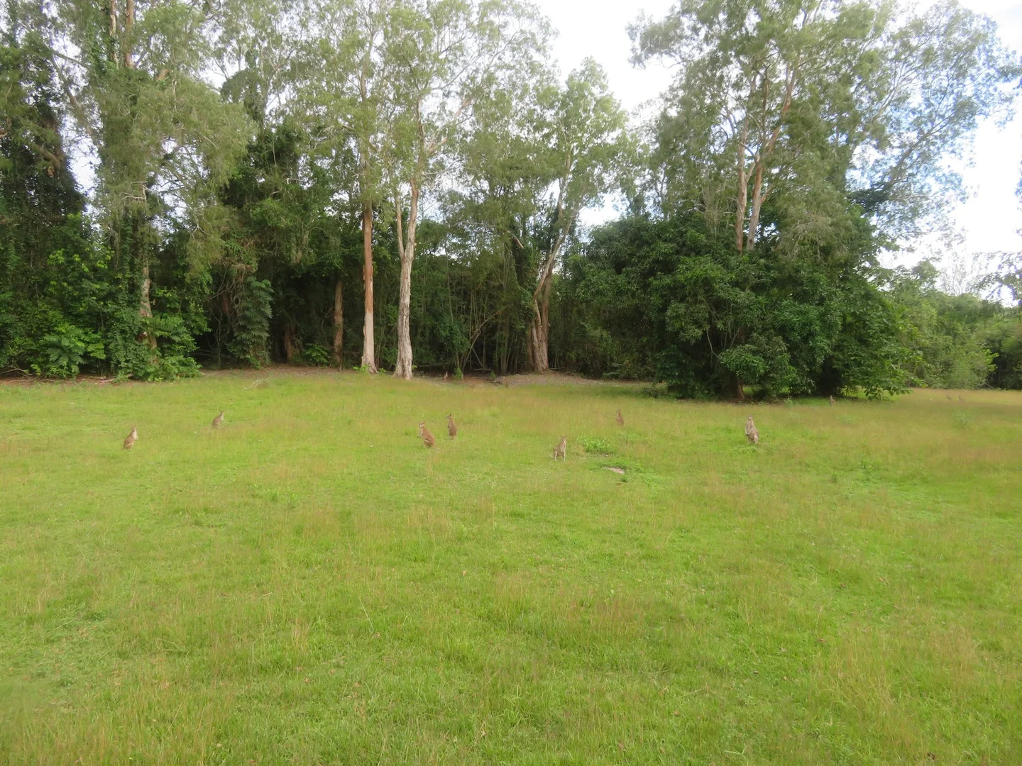 Additional image 19 of 364 Coquette Point Road, Coquette Point QLD 4860