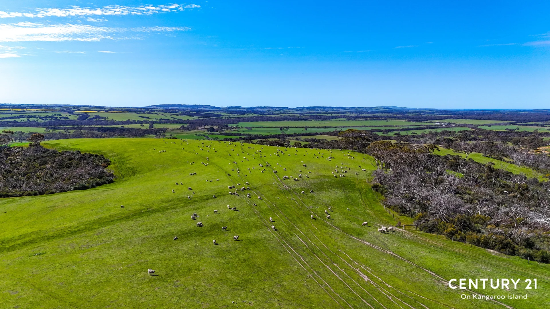 Additional image 4 of 2265 Playford Highway, Kohinoor SA 5223