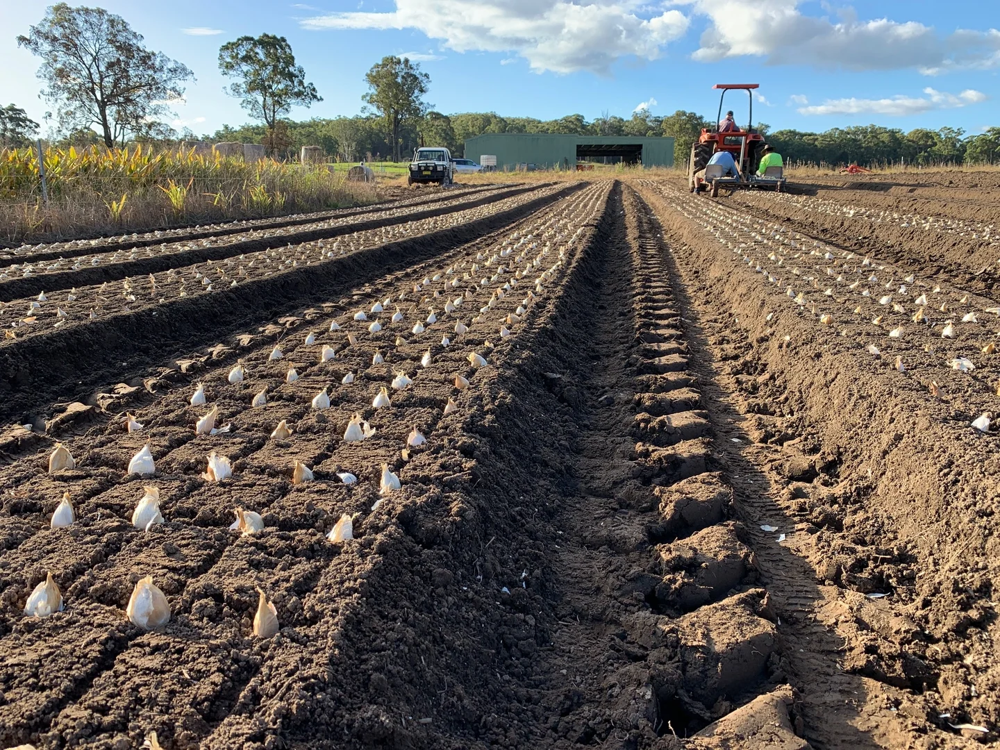 Additional image 29 of 696 Kungala Road, Kungala NSW 2460