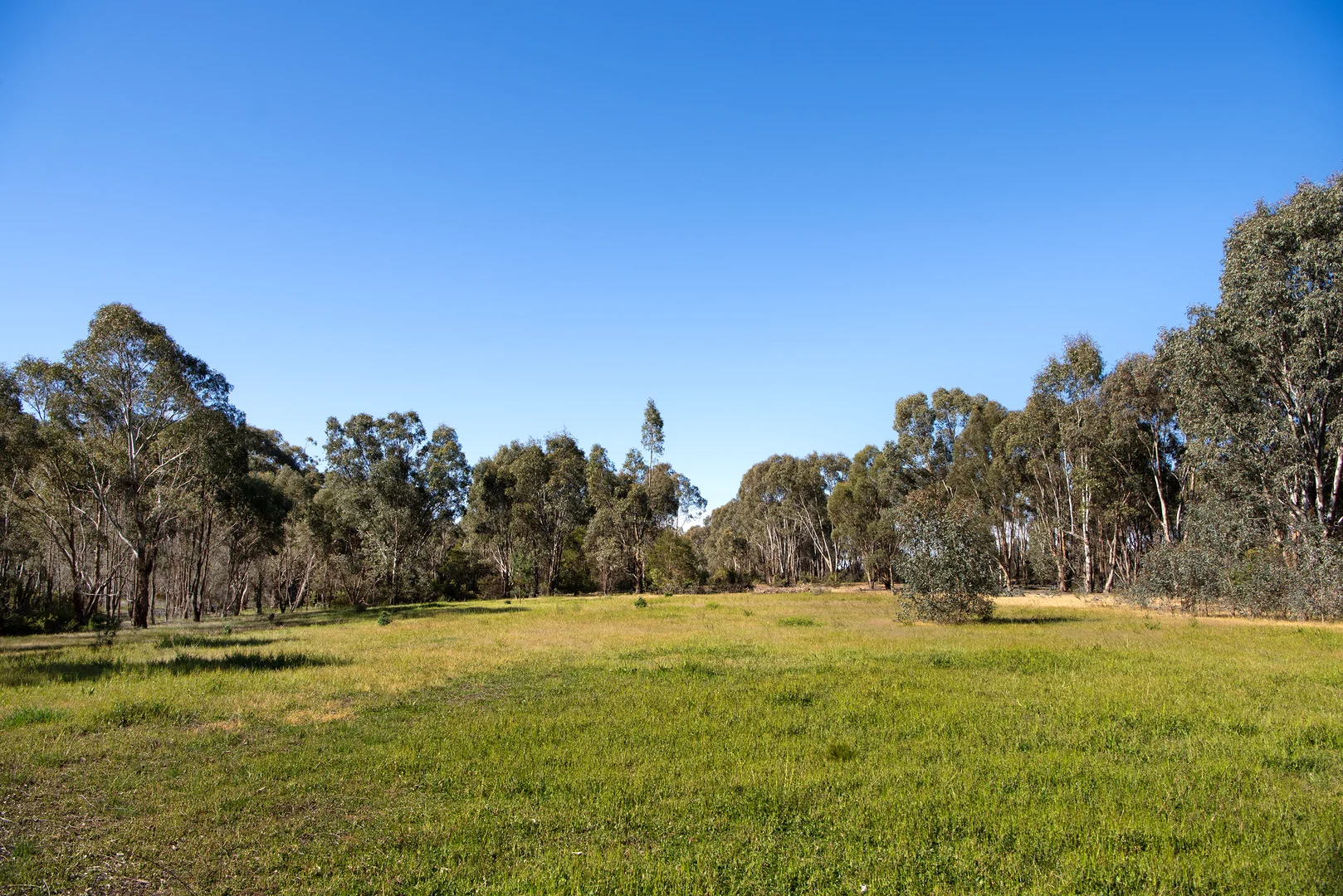 Additional image 7 of 686 Maldon-Newstead Road, Welshmans Reef VIC 3462
