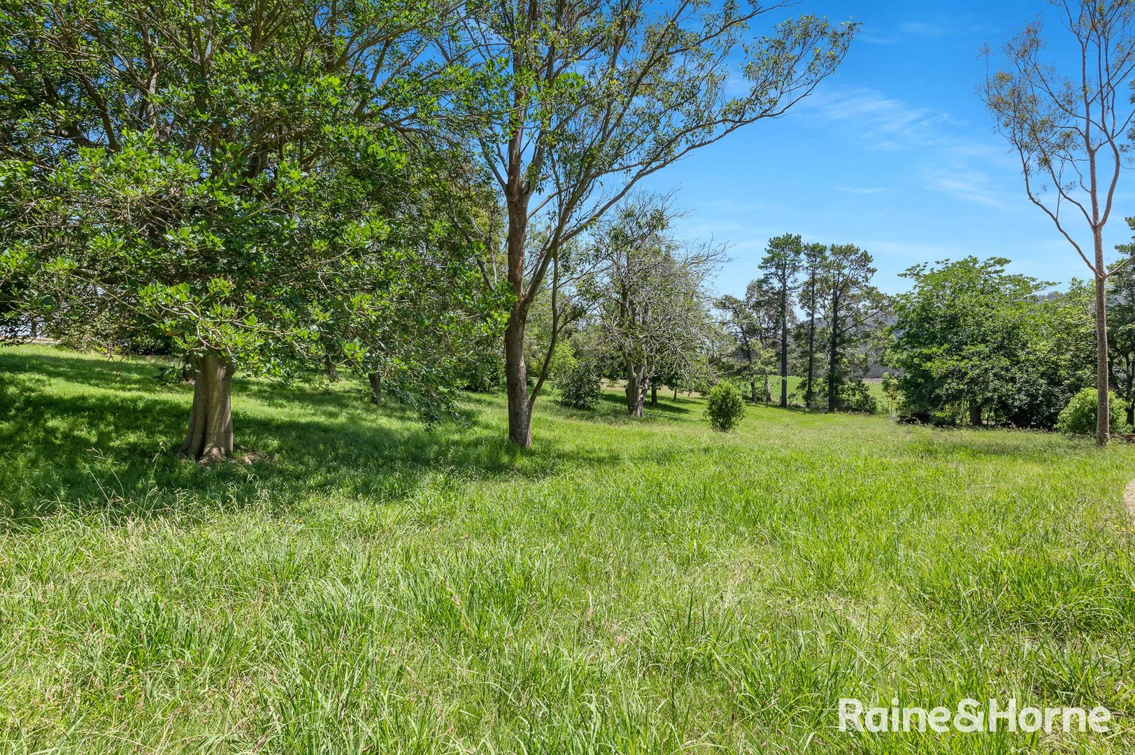 Additional image 10 of 10A Back Forest Road, Back Forest NSW 2535