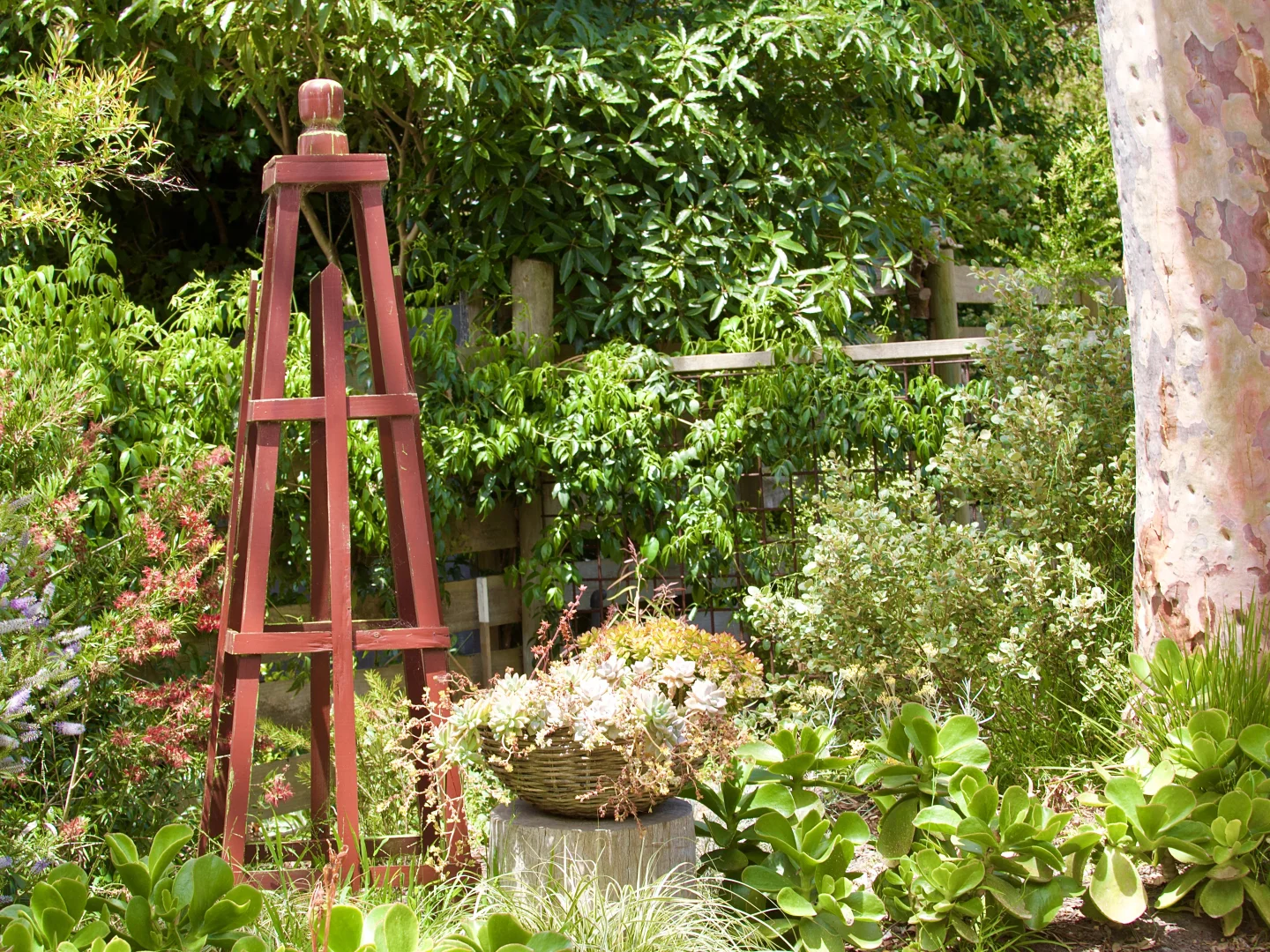 Additional image 20 of 3 Victoria Street, Inverloch VIC 3996