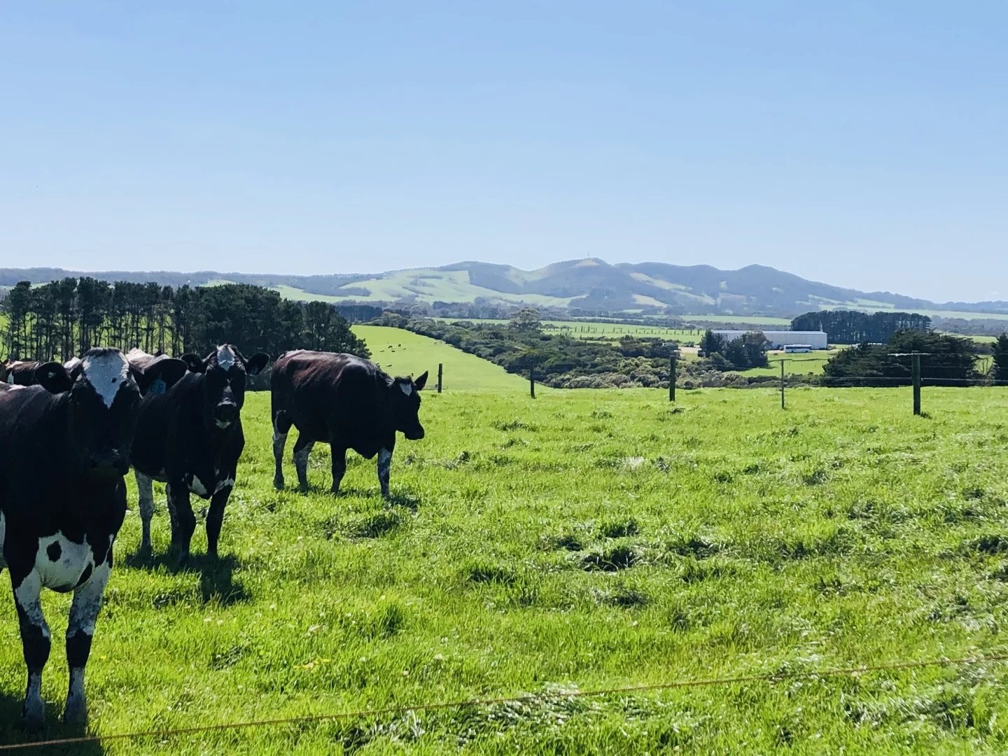 Additional image 19 of 2988 Meeniyan-Prom Rd, Yanakie VIC 3960