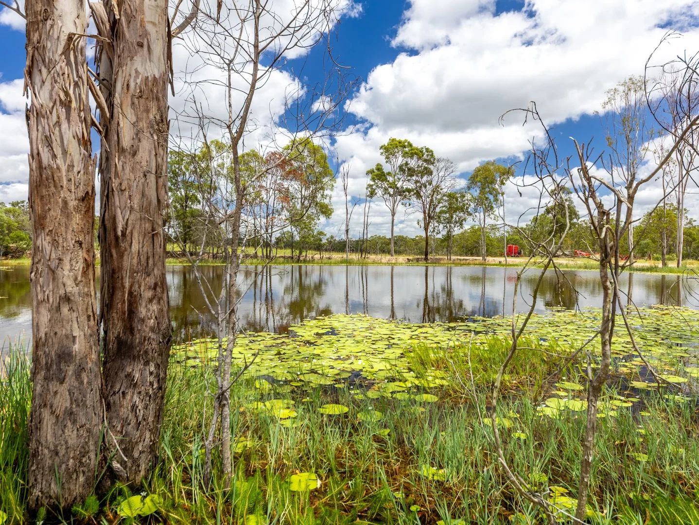 Additional image 30 of South Kolan QLD 4670