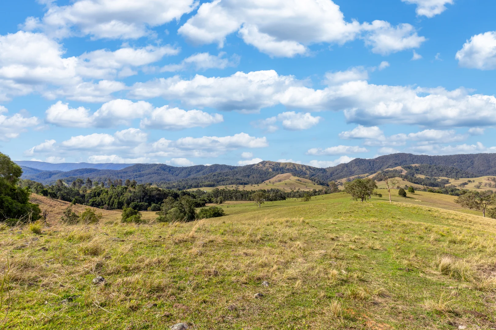 Additional image 3 of Lots/34 & 158 Salisbury Road, Dungog NSW 2420