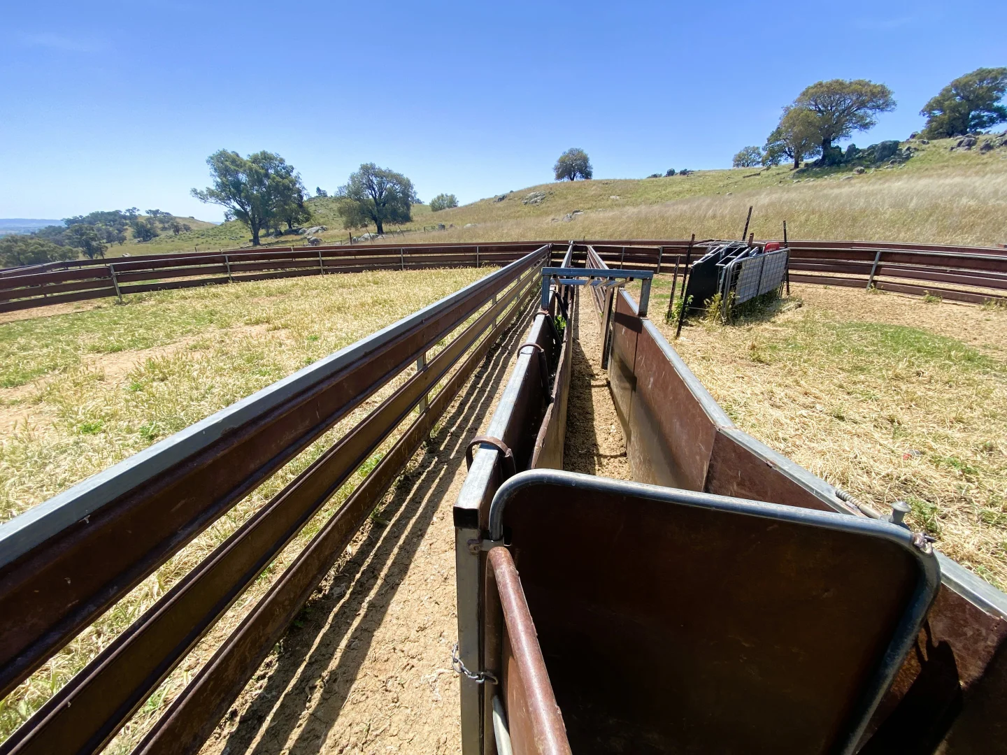 Additional image 18 of 250 Emu Creek Road, Canowindra NSW 2804