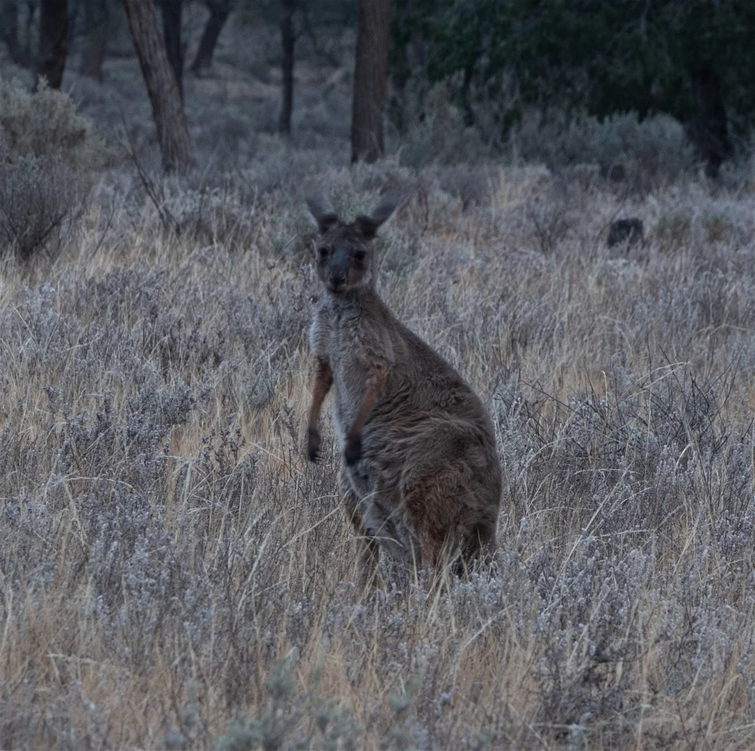 Additional image 15 of 189 Coyles Road, Wodonga VIC 3690