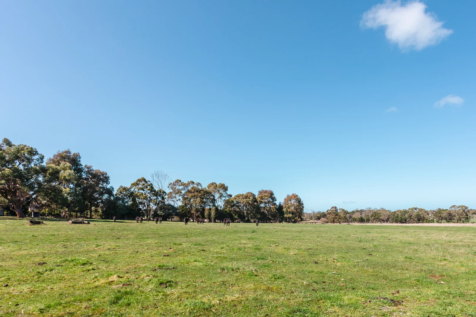 Additional image 22 of 67 Bittern-Dromana Road, Balnarring VIC 3926