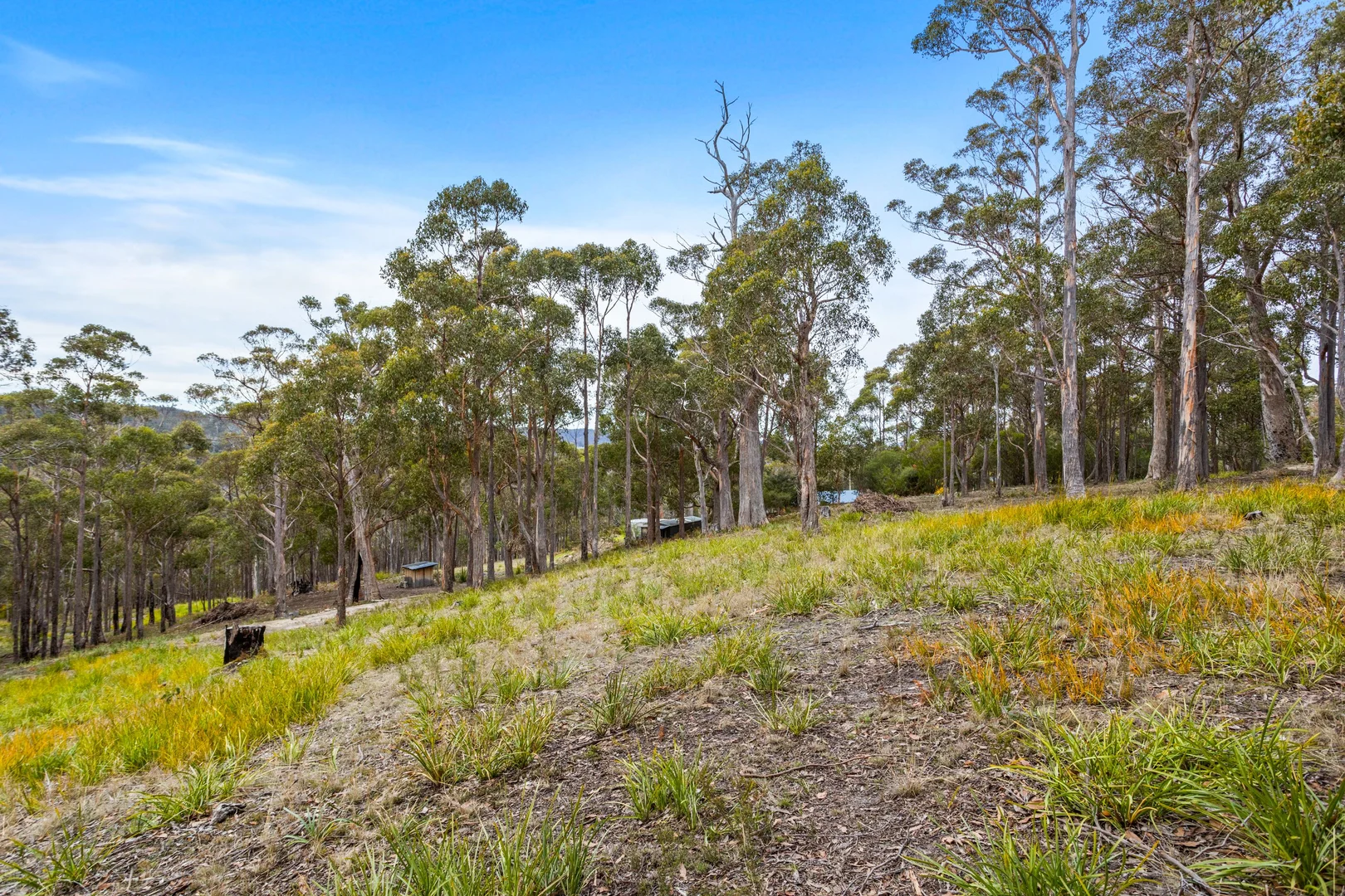 Additional image 6 of 90 Hackford Drive, Kingston TAS 7050