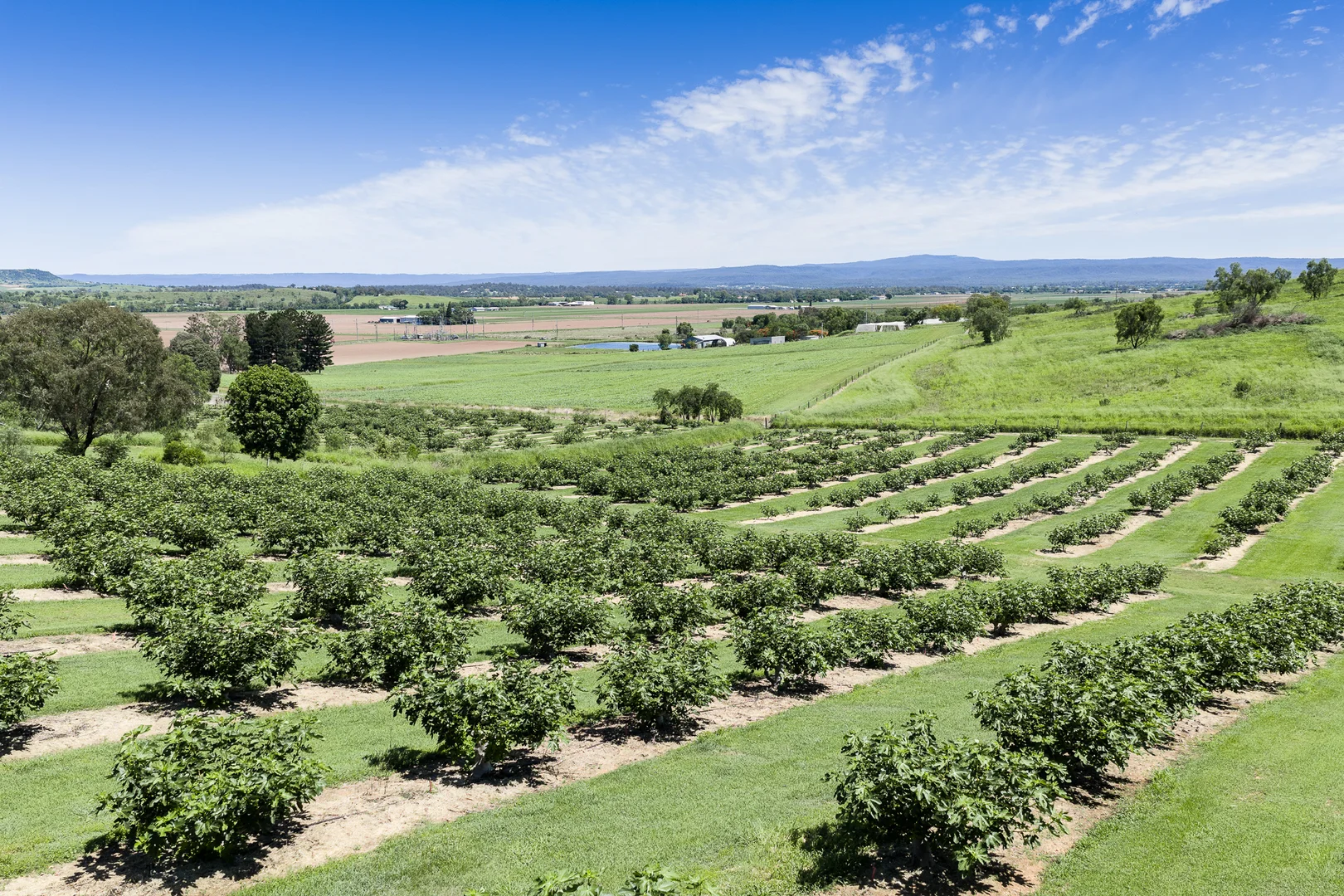 Additional image 6 of 61 Ingoldsby Road, Upper Tenthill QLD 4343