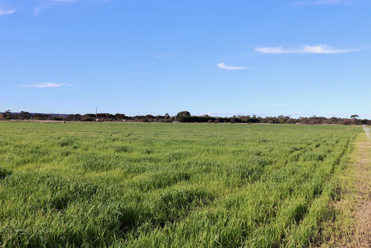 Additional image 5 of 1, 2, 3 &, 4 COLAC-BALLARAT ROAD, Rokewood VIC 3330