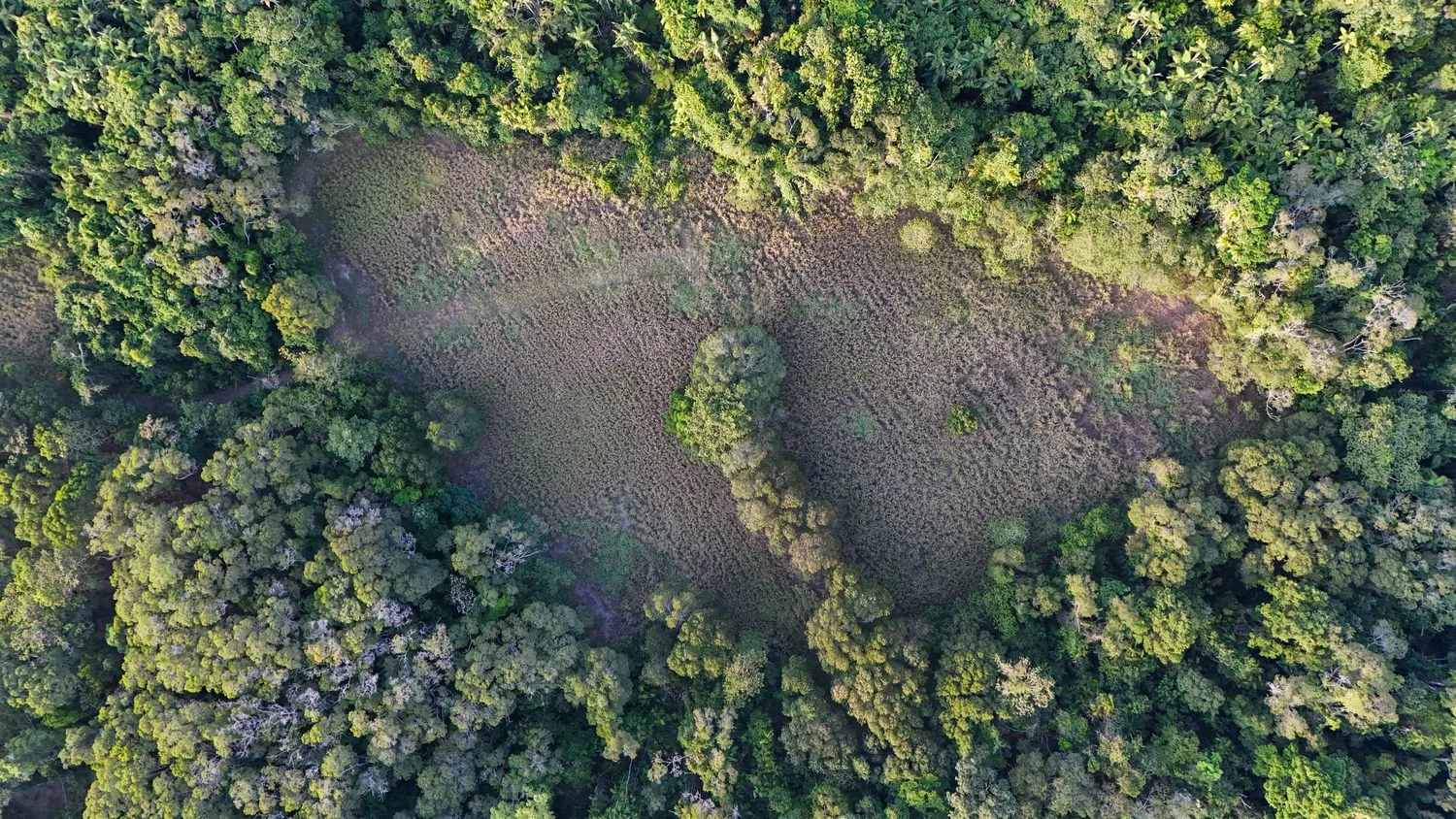 Additional image 27 of 1060 Pine Creek Yarrabah Road, East Trinity QLD 4871