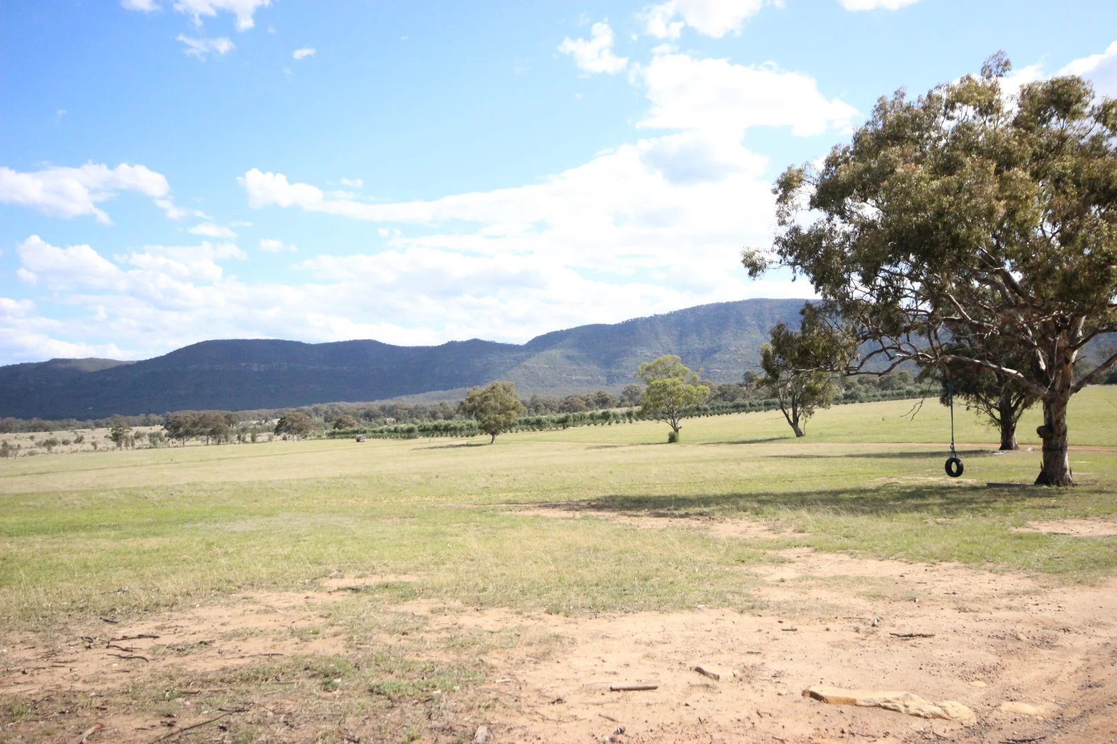 Additional image 30 of 207 Redmanvale Road, Jerrys Plains NSW 2330
