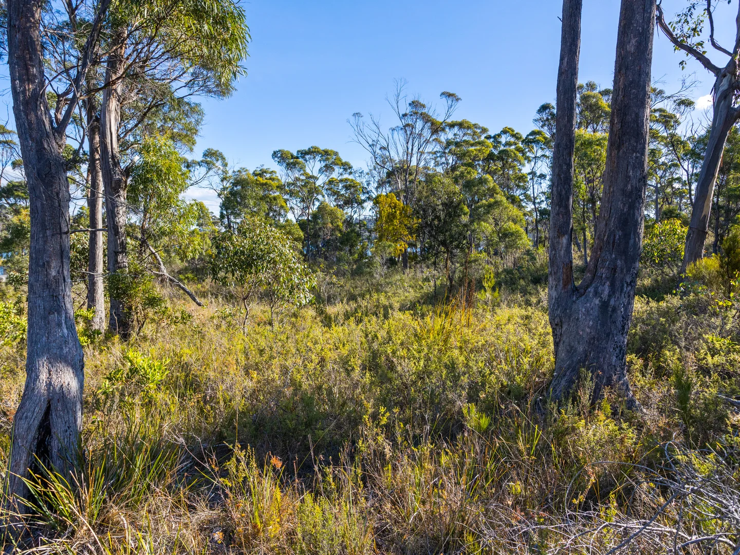 Additional image 16 of 4017 Arthur Highway, Murdunna TAS 7178