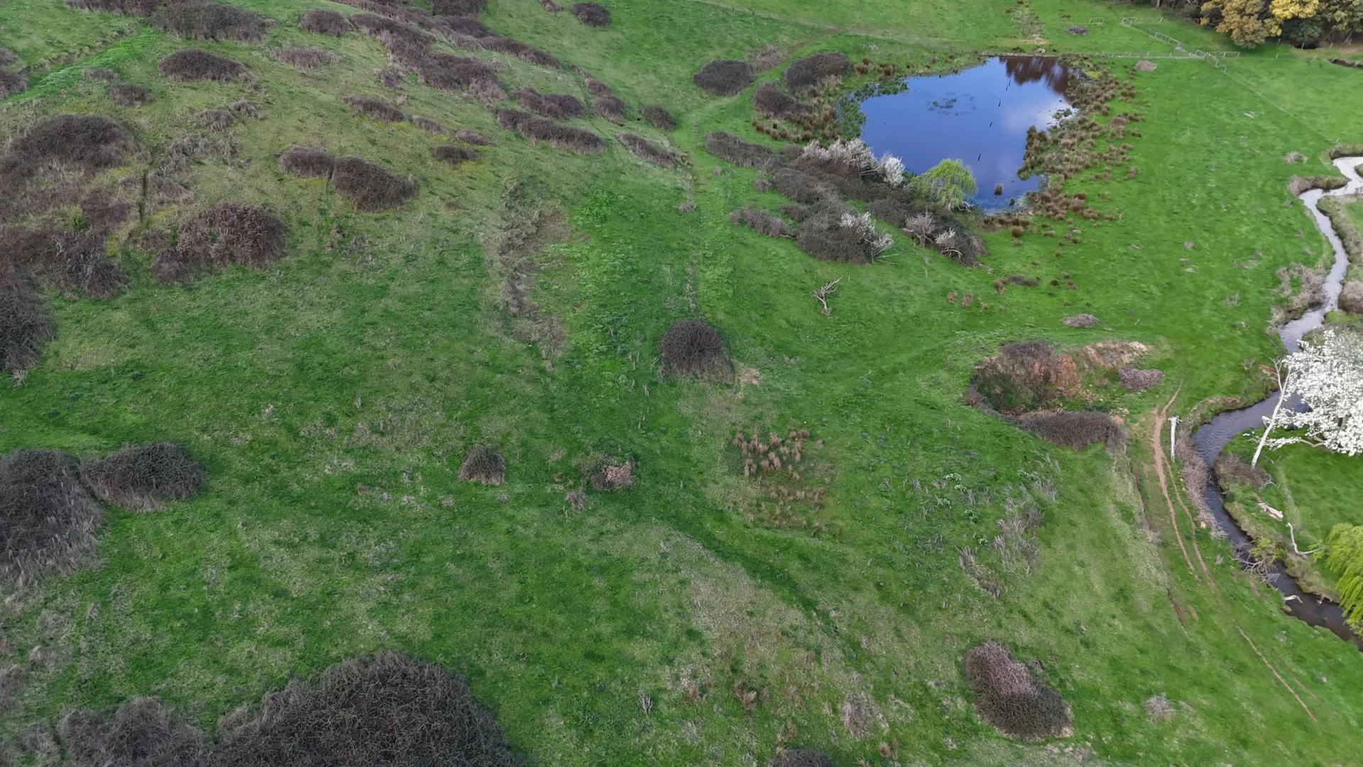 Additional image 11 of 141 BUNDERRA DRIVE, Boolarra VIC 3870