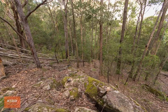 Additional image 15 of 62 Una Road, Bucketty NSW 2250