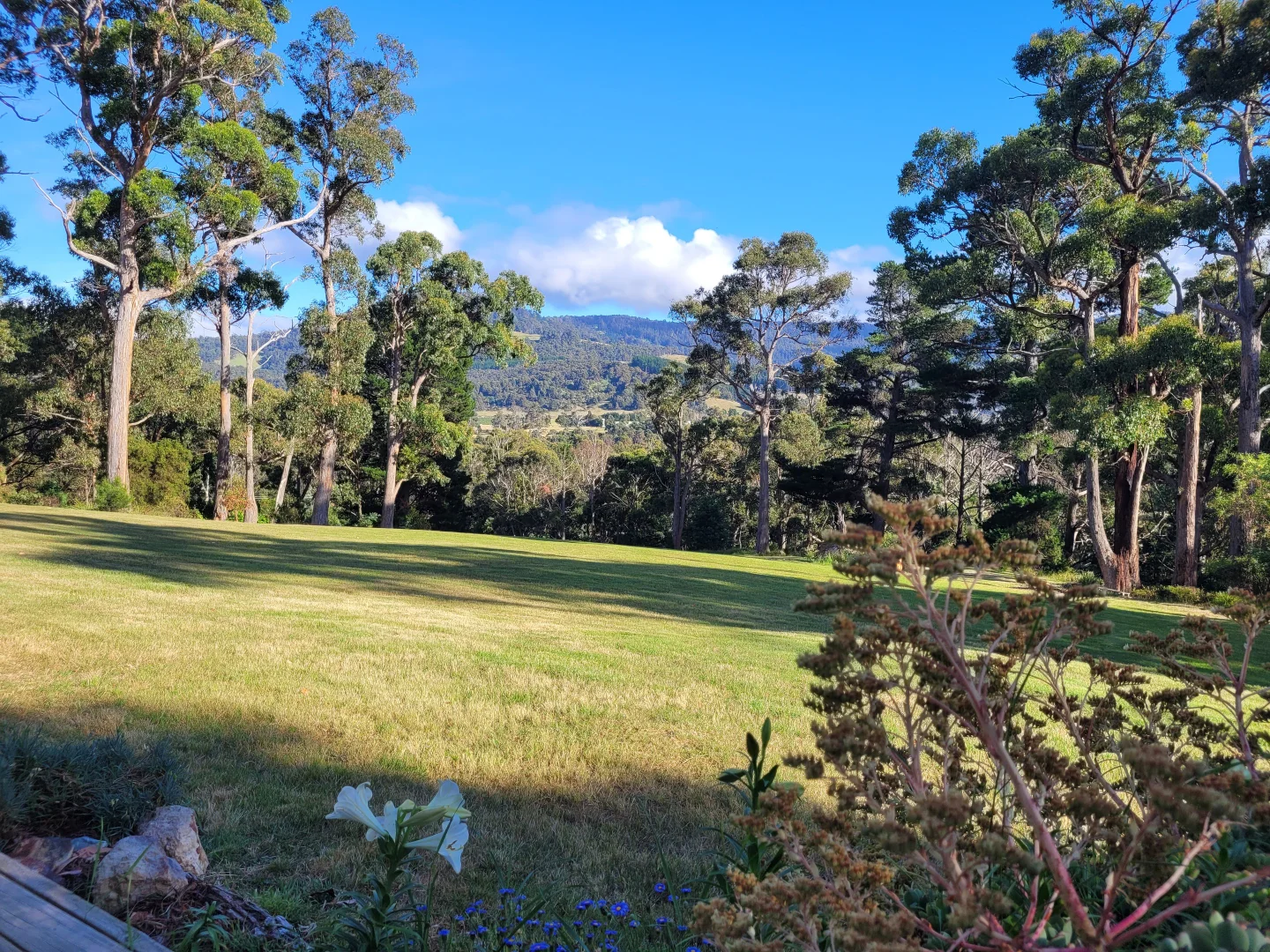 Additional image 11 of 15 Pine Lodge Road, Glen Huon TAS 7109